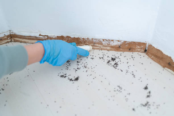 Pest Control Cost in Westbury, NY